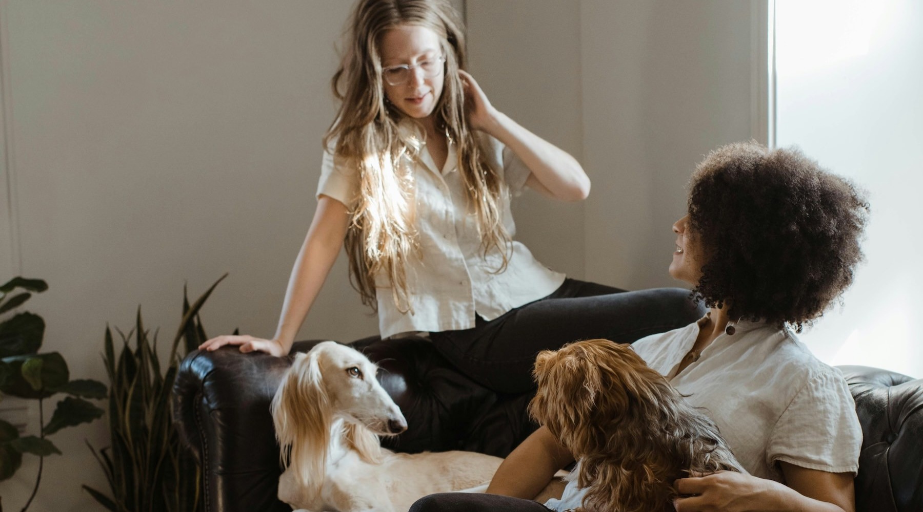 two women and two dogs on a couch